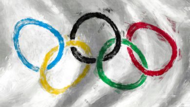 Фото - PETA призвала Международный Олимпийский комитет не принимать деньги от LVMH