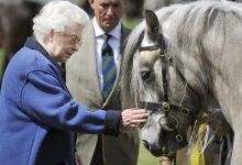 Фото - Бывшая конюшня Елизаветы II выставлена на продажу