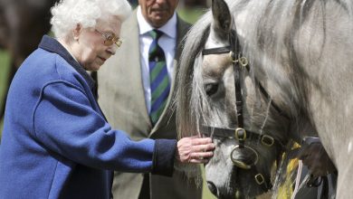 Фото - Бывшая конюшня Елизаветы II выставлена на продажу