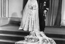 Фото - Садовник вспомнил, как шили свадебное платье Елизаветы II с яйцами насекомых