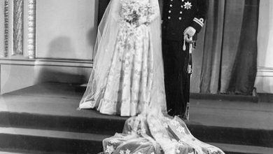 Фото - Садовник вспомнил, как шили свадебное платье Елизаветы II с яйцами насекомых
