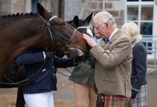 Фото - Карл III заработал более £1 млн на продаже лошадей королевы Елизаветы