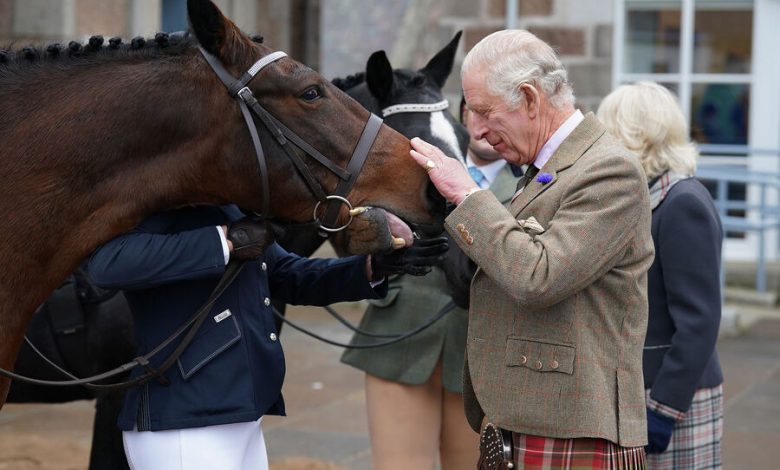 Фото - Карл III заработал более £1 млн на продаже лошадей королевы Елизаветы